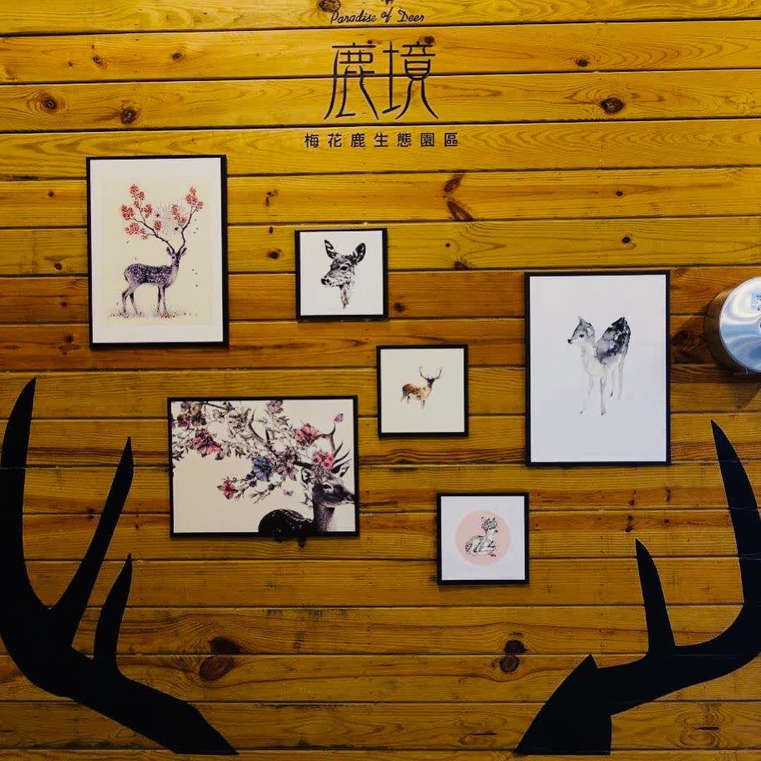 鹿境梅花鹿生態園區丨門票消費最高折抵140丨梅花鹿、水豚互動餵食丨室內親子DIY區丨親子遊戲區丨甜鹹輕食霜淇淋供應丨超可愛獨家紀念品丨奶茶、咖啡好喝 | 去趣 chicTrip