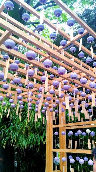 川越冰川神社 | 去趣 chicTrip