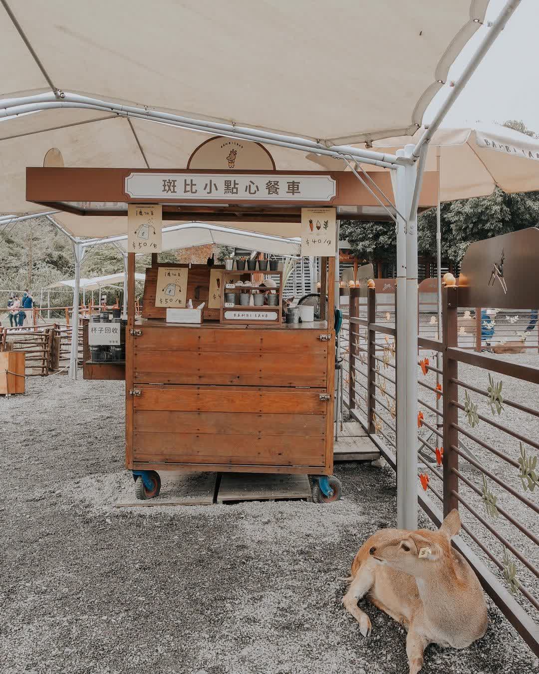 宜蘭-斑比山丘 | 去趣 chicTrip