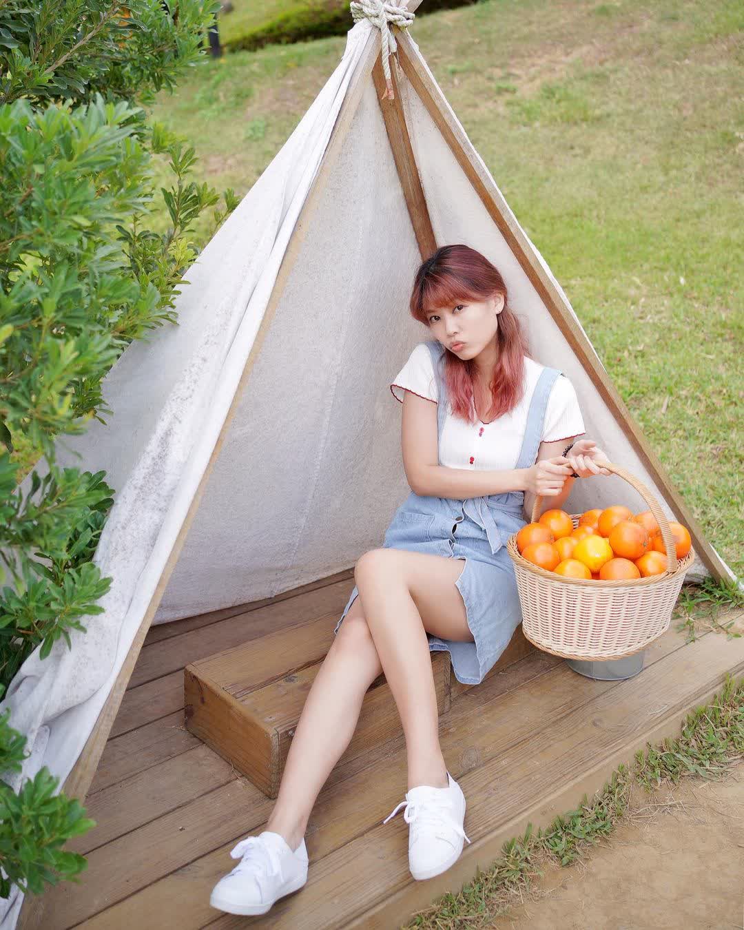 橙香森林 | 去趣 chicTrip