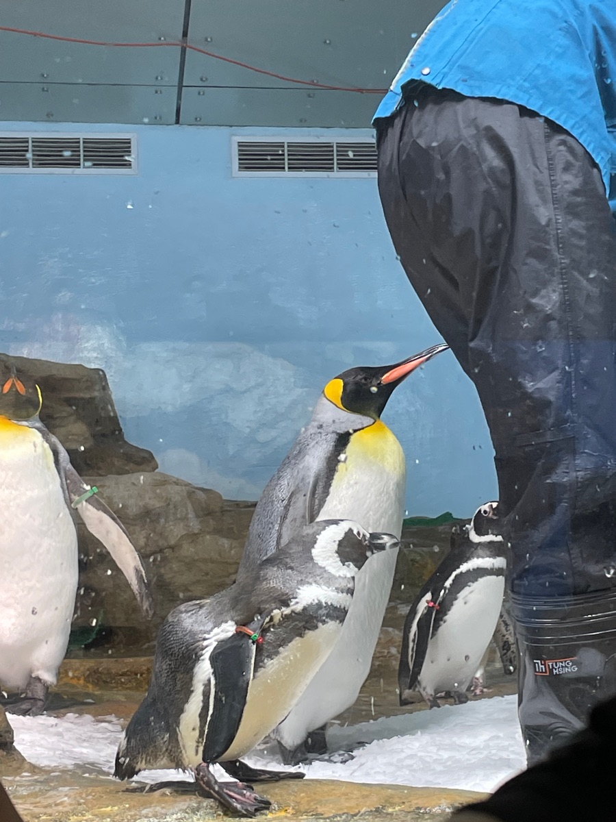 Xpark 水族館 | 去趣 chicTrip