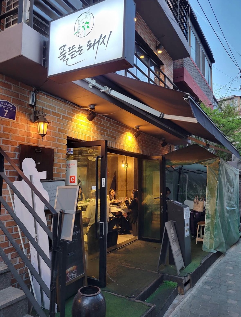 The Grazing Pig | 去趣 chicTrip