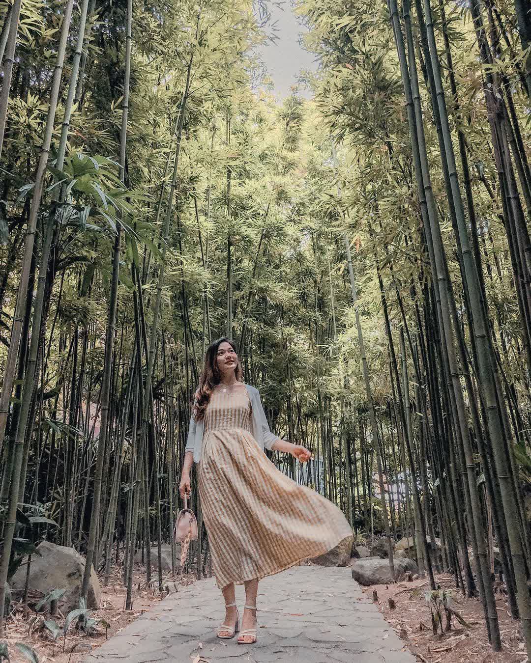 CAMA COFFEE ROASTERS 豆留森林