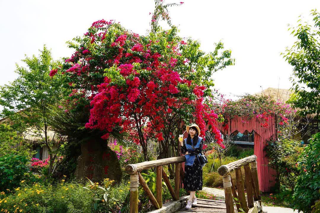 優遊吧斯鄒族文化部落 | 去趣 chicTrip