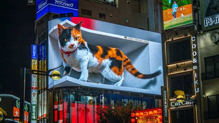 The Giant 3D Cat | 去趣 chicTrip