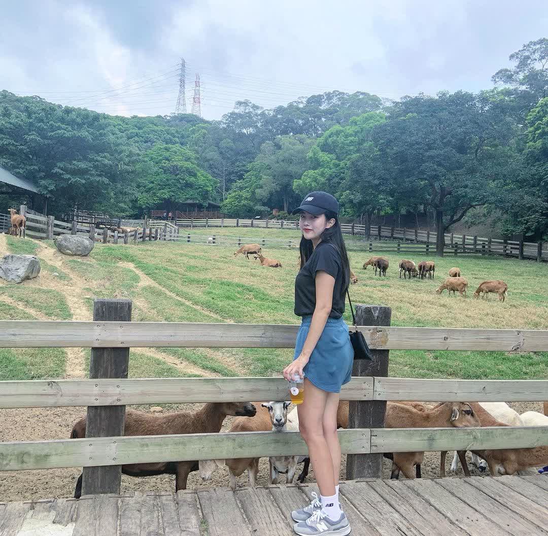 飛牛牧場 | 去趣 chicTrip