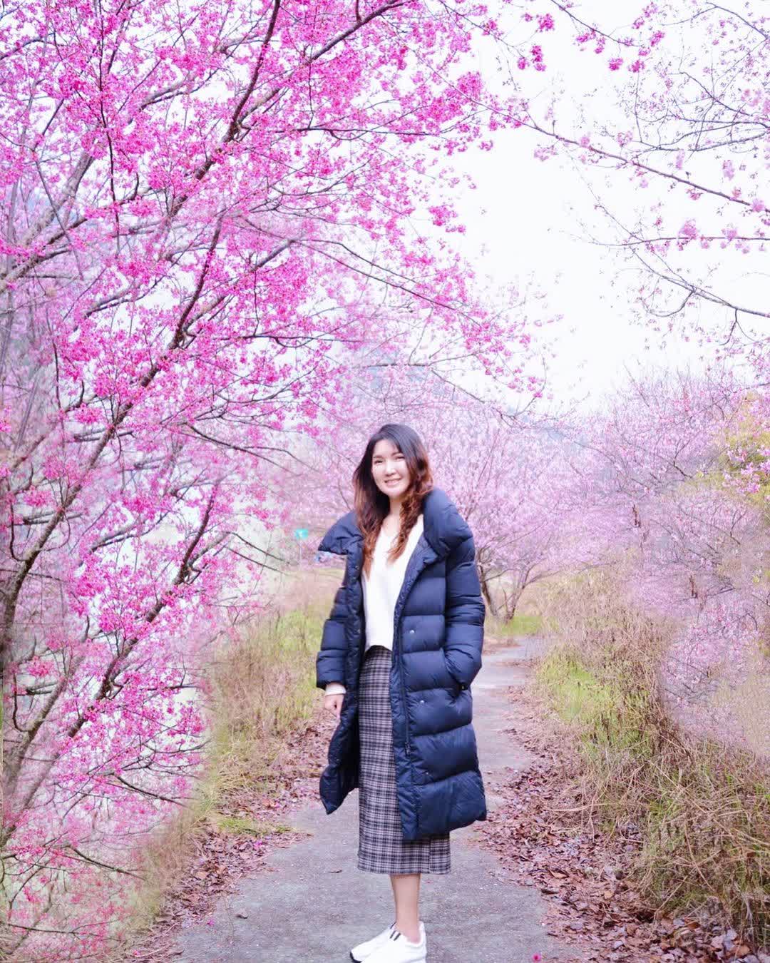 武陵農場 | 去趣 chicTrip