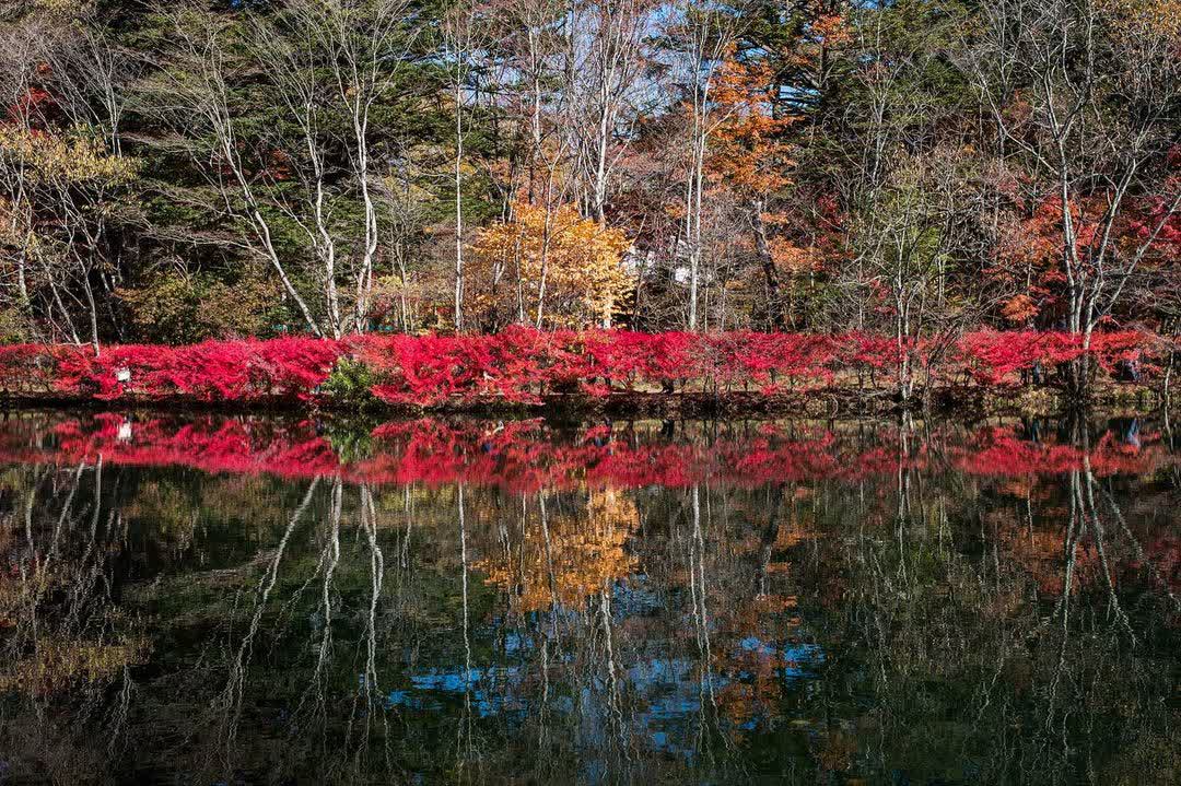Kumoba Pond | 去趣 chicTrip