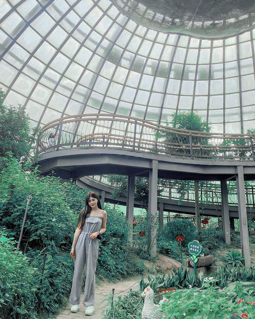 嘉大昆蟲館 | 去趣 chicTrip