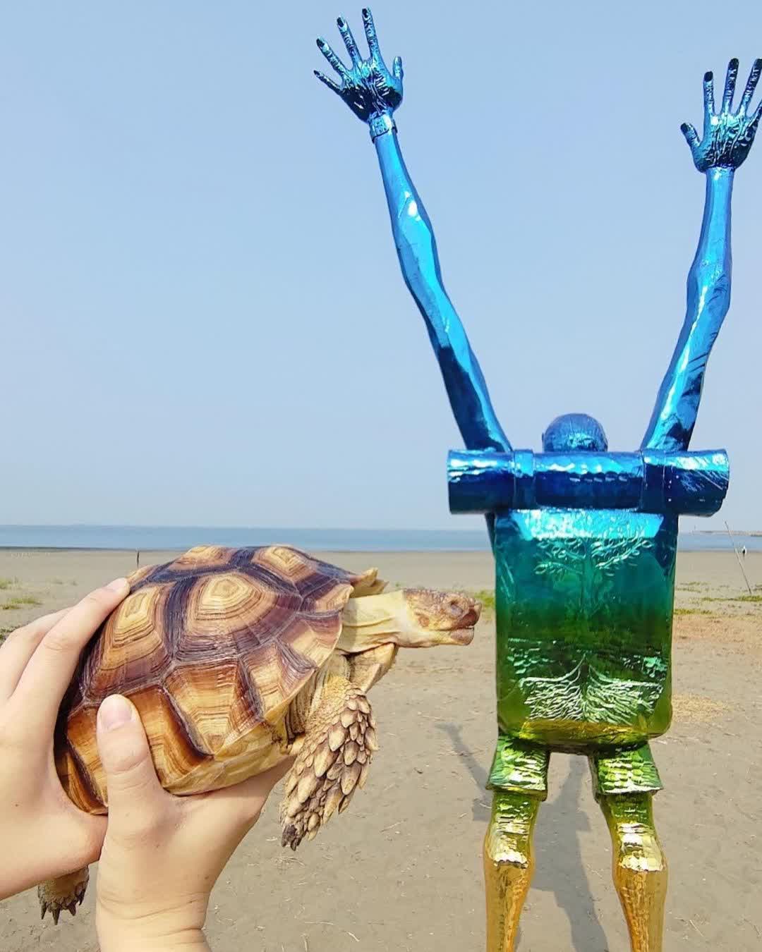 漁光島 | 去趣 chicTrip