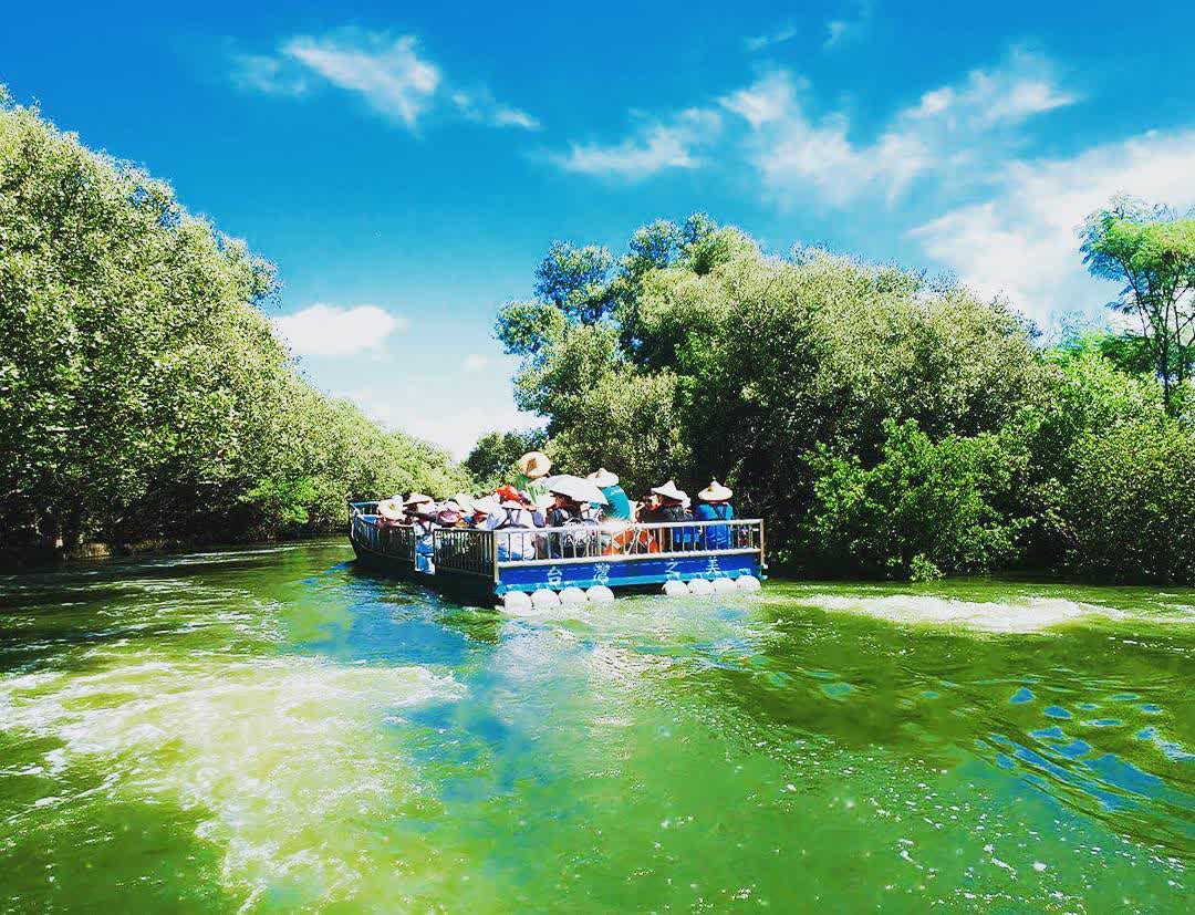 四草綠色隧道 | 去趣 chicTrip