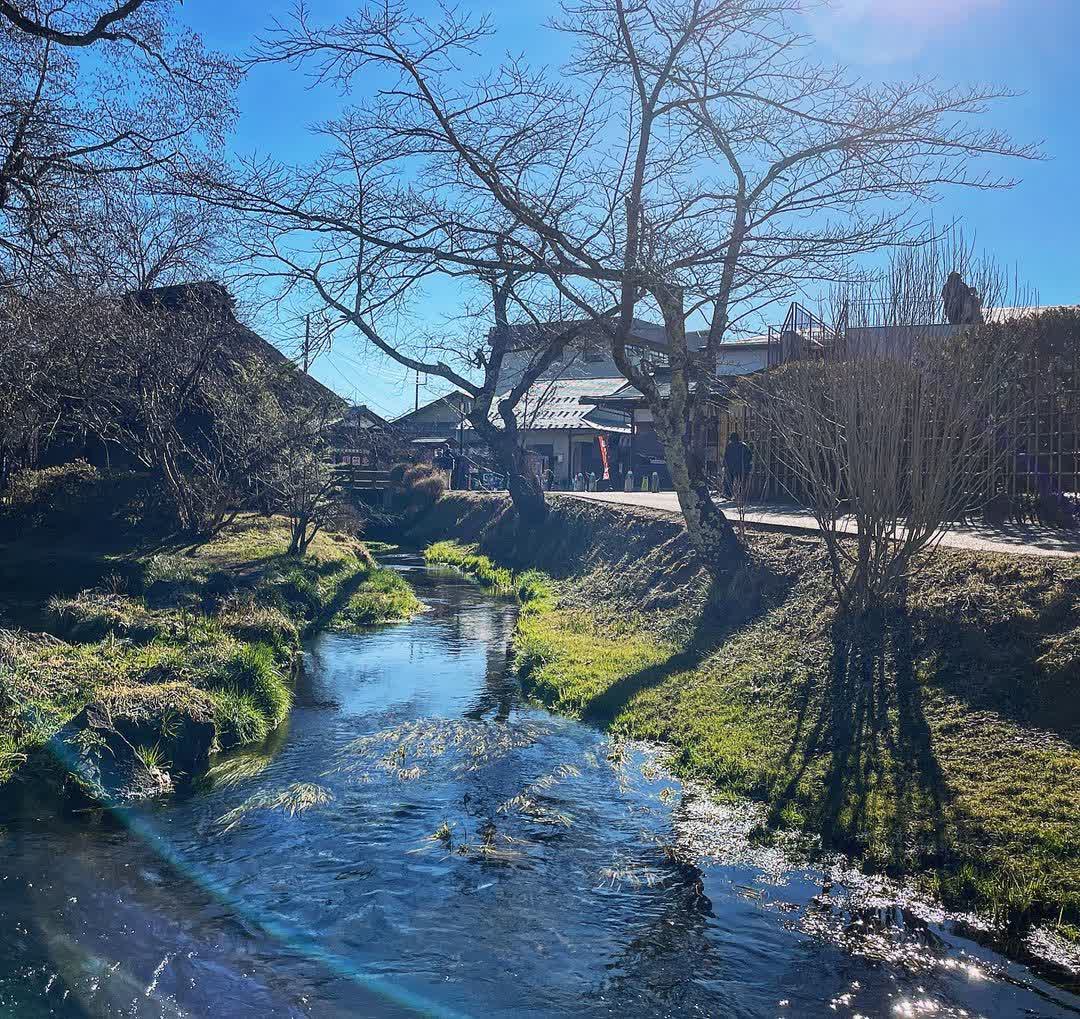 忍野八海 | 去趣 chicTrip