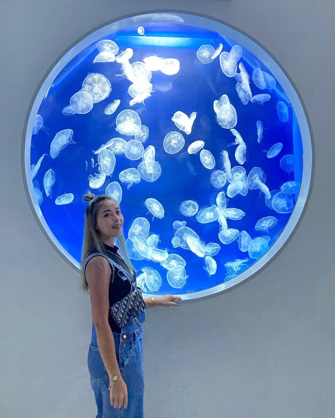 Xpark 水族館 | 去趣 chicTrip