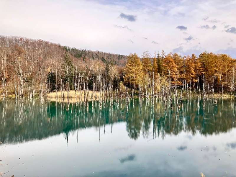 白金青池 | 去趣 chicTrip