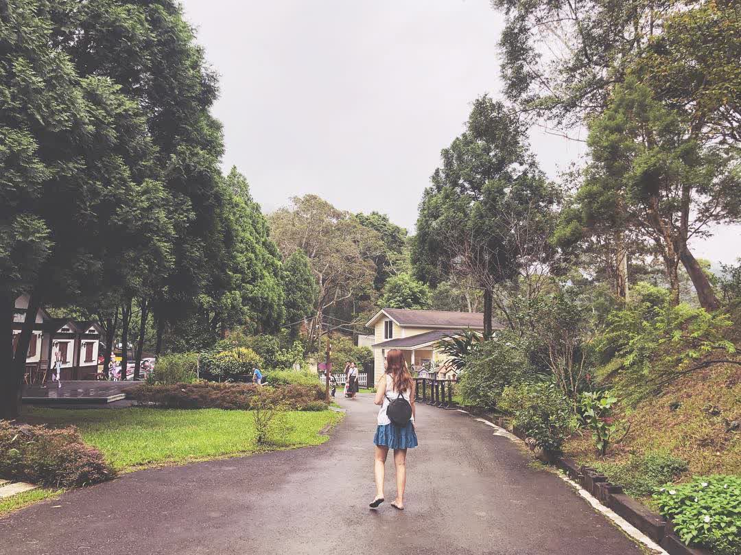薰衣草森林新竹尖石店 | 去趣 chicTrip