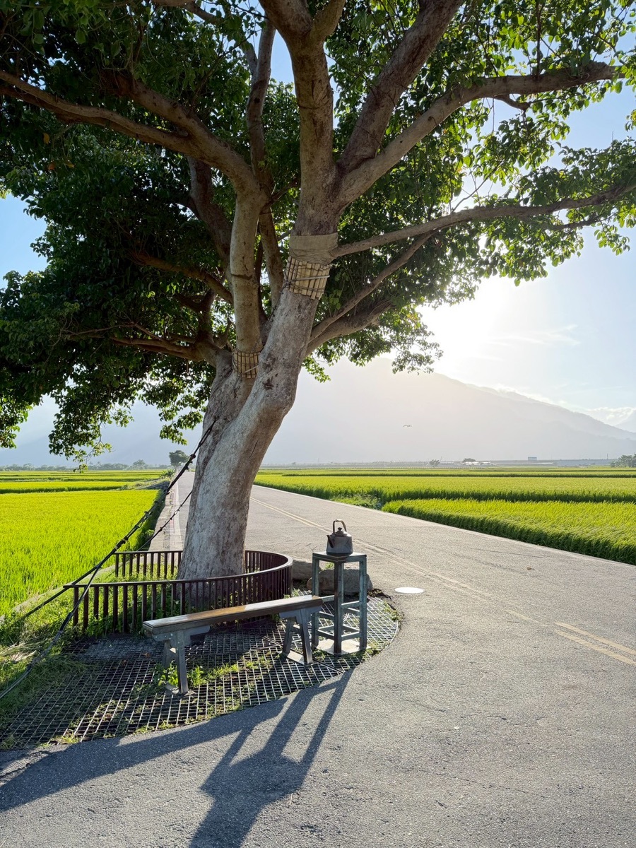 臺東池上錦新三號道路 伯朗大道 | 去趣 chicTrip