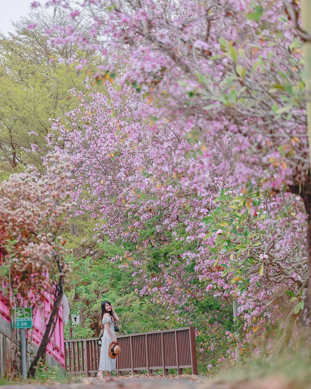 潭雅神綠園道 | 去趣 chicTrip