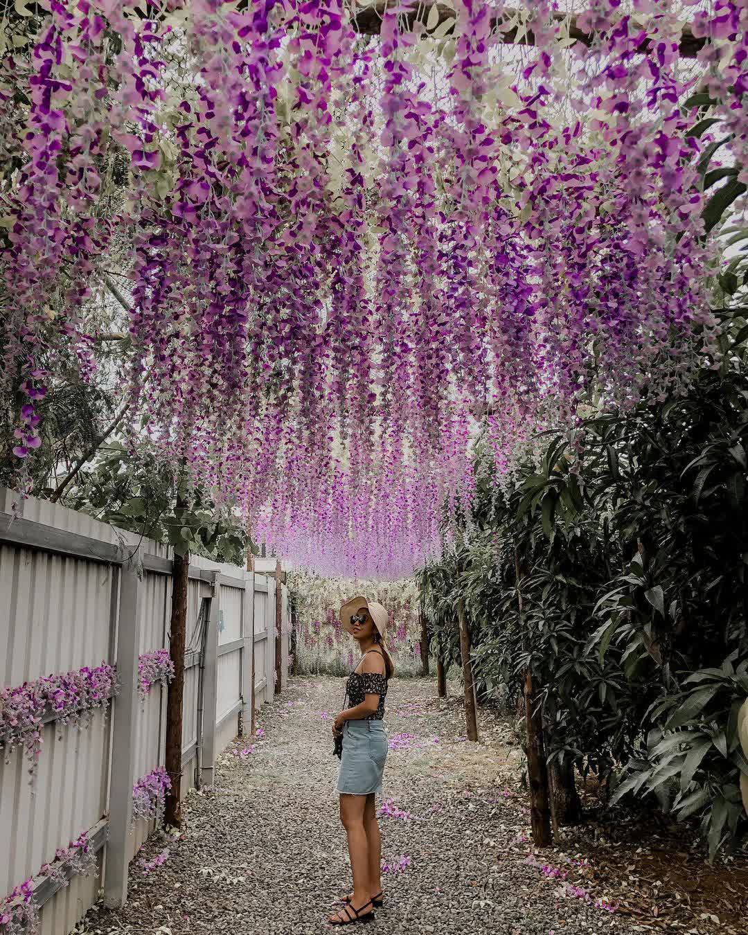 鹿粼梅花鹿園區 | 去趣 chicTrip