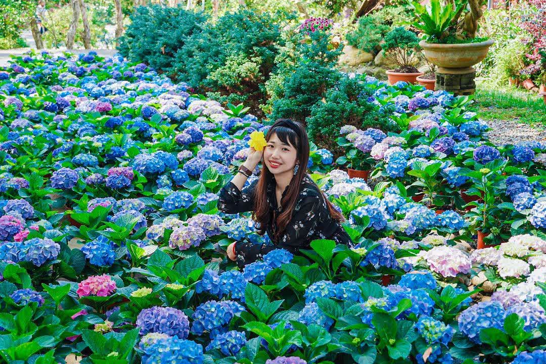 花露農場 Flower Home | 去趣 chicTrip