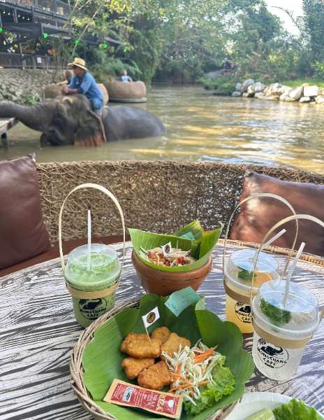 MongChang Cafe | 去趣 chicTrip