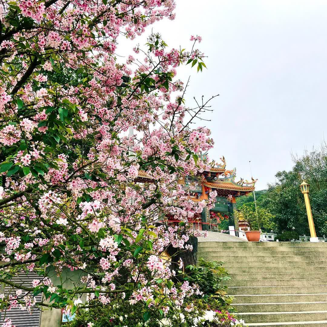 無極天元宮 | 去趣 chicTrip