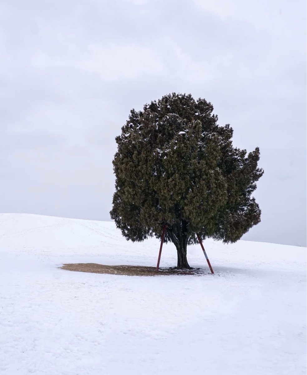 奧林匹克公園 | 去趣 chicTrip