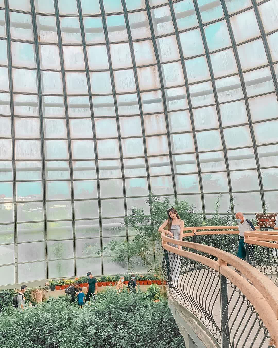 嘉大昆蟲館 | 去趣 chicTrip