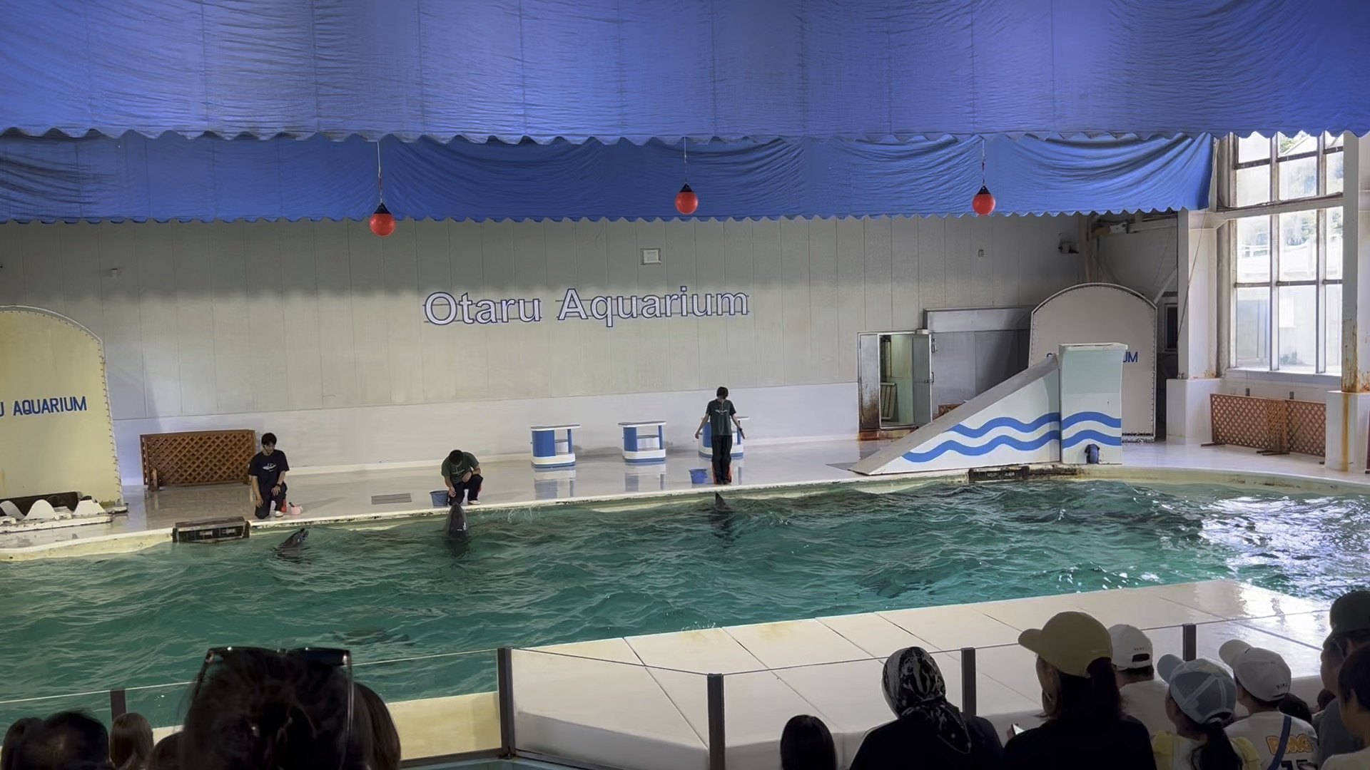 小樽水族館 | 去趣 chicTrip