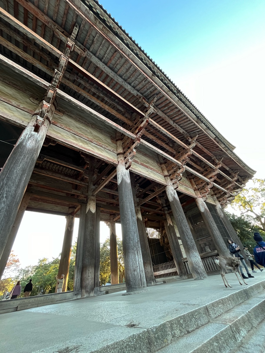 東大寺 南大門 | 去趣 chicTrip