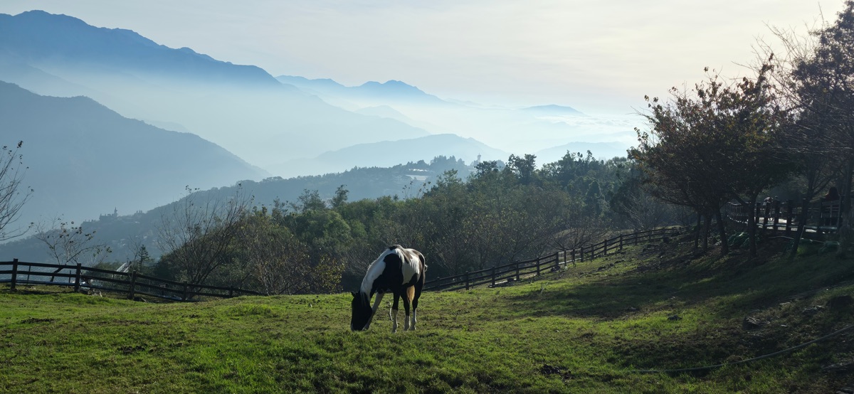 清境農場觀山牧區 | 去趣 chicTrip