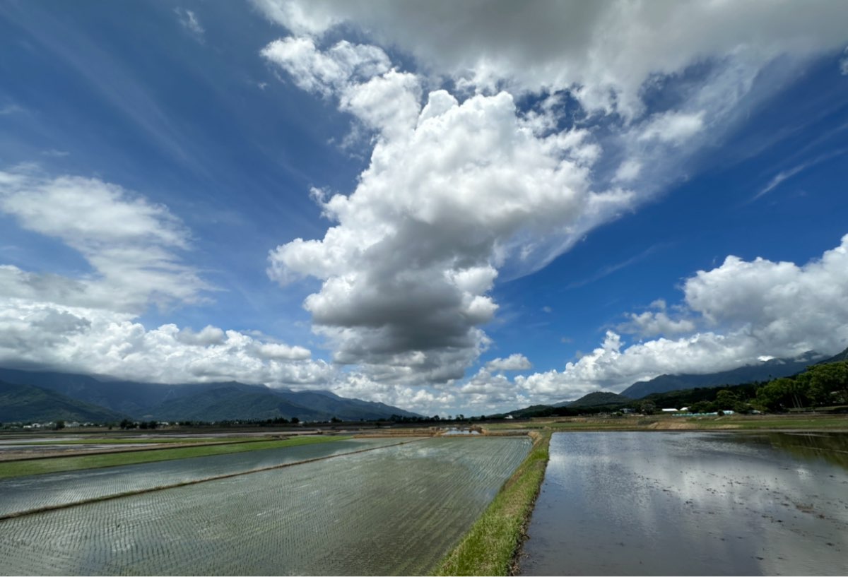 臺東池上錦新三號道路 伯朗大道 | 去趣 chicTrip