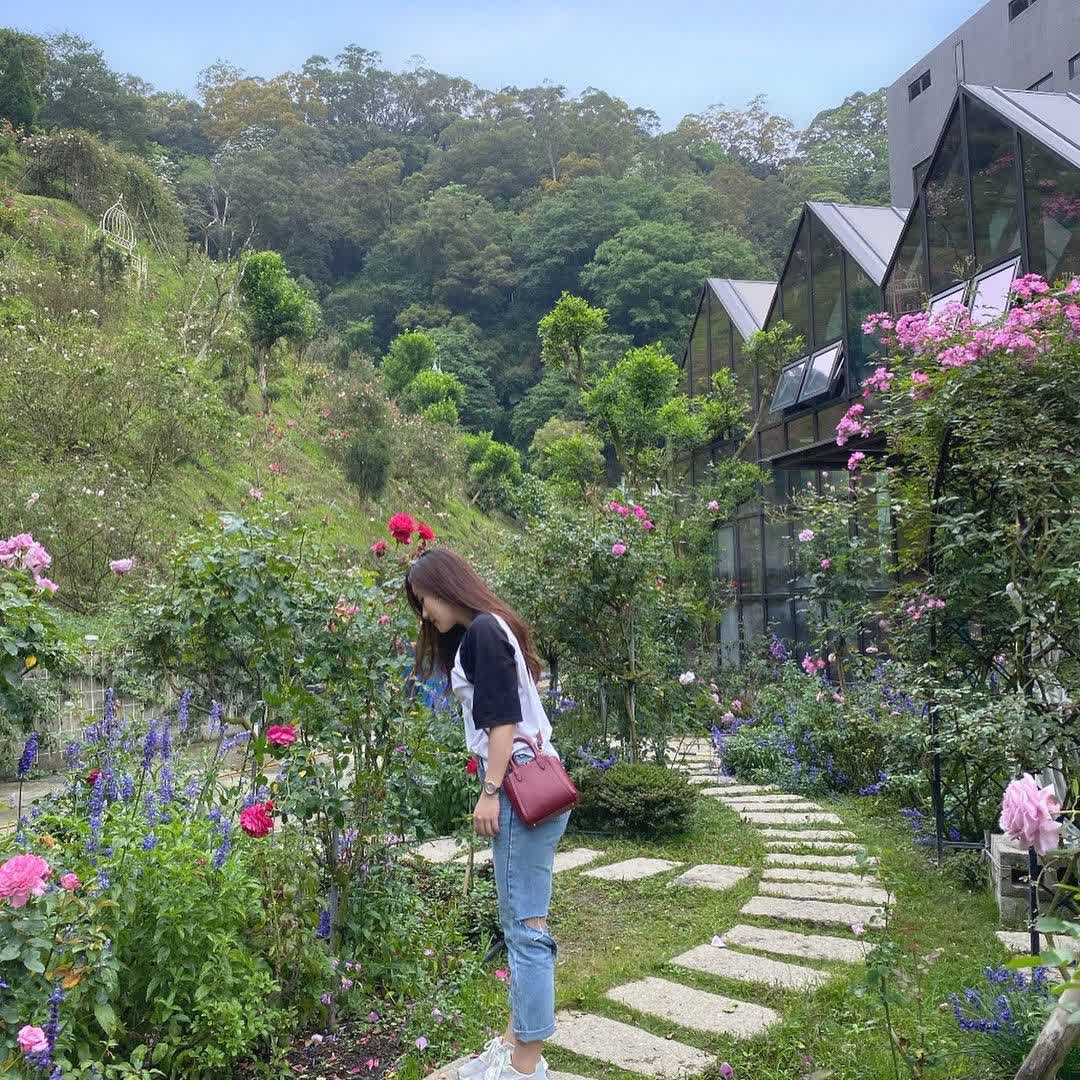 雅聞七里香玫瑰森林 | 去趣 chicTrip