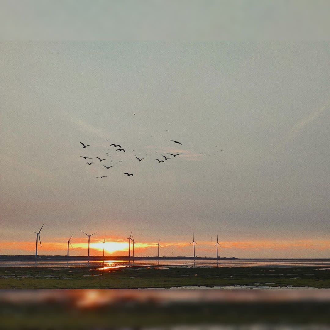 高美野生動物保護區 | 去趣 chicTrip