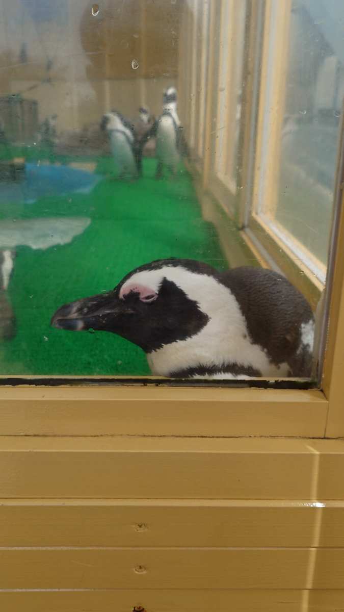 名古屋港水族館 | 去趣 chicTrip