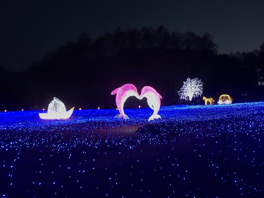 晨靜樹木園 | 去趣 chicTrip