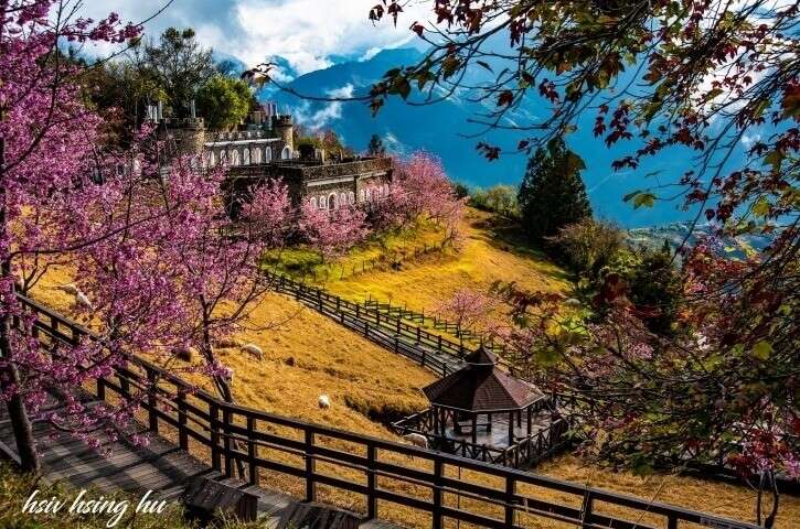 清境農場青青草原 | 去趣 chicTrip