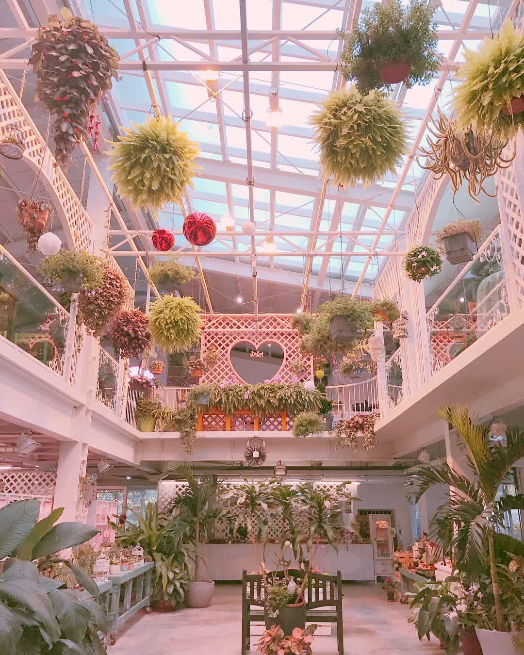 菁芳園 落羽松景觀餐廳 | 去趣 chicTrip