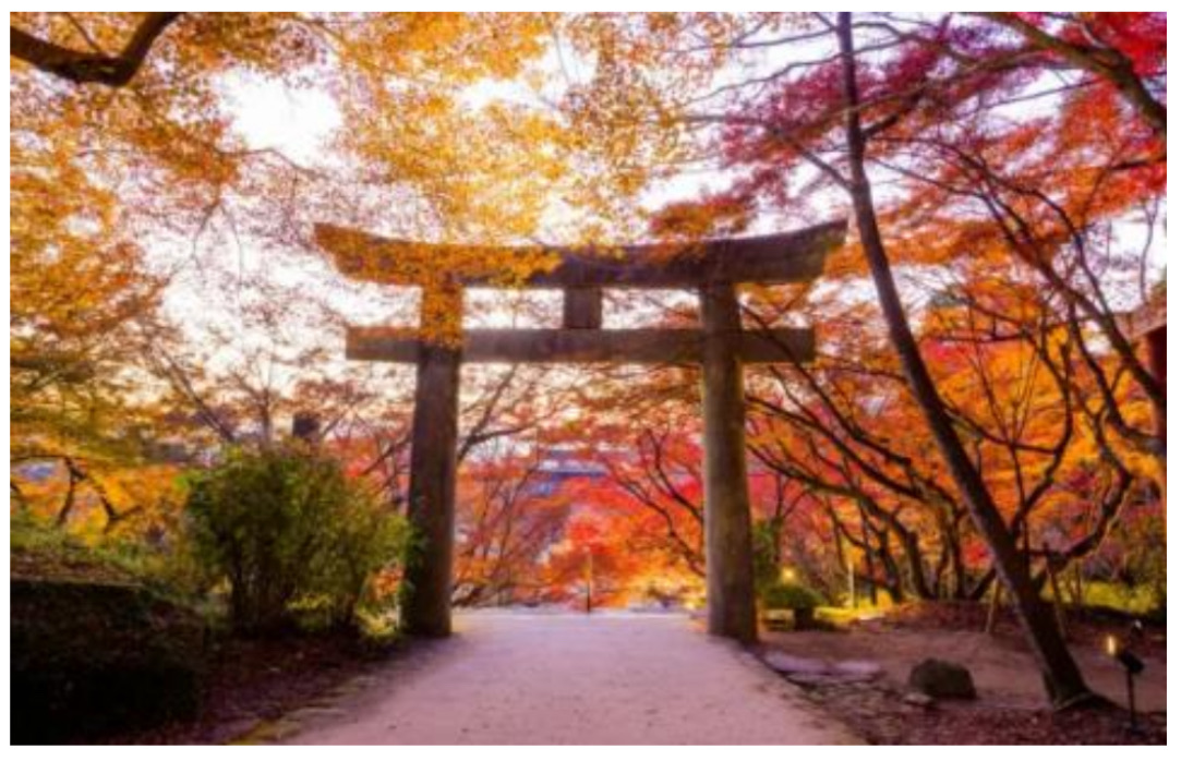 寶滿宮 竈門神社 | 去趣 chicTrip