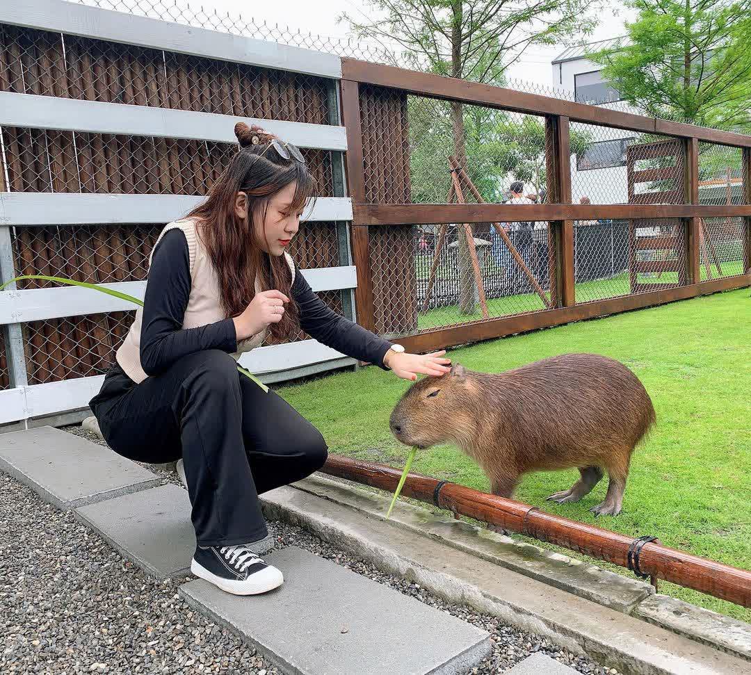 張美阿嬤農場（月森甯手作工坊） | 去趣 chicTrip