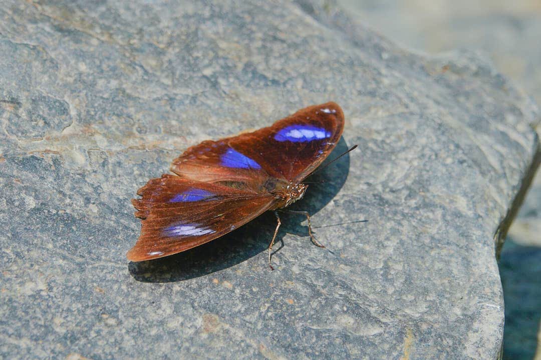 彩蝶瀑布 | 去趣 chicTrip