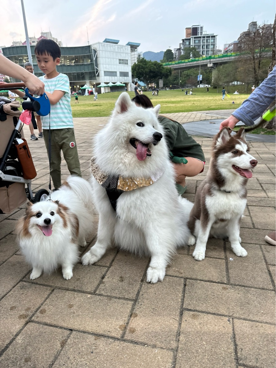 大湖公園 (防災公園）