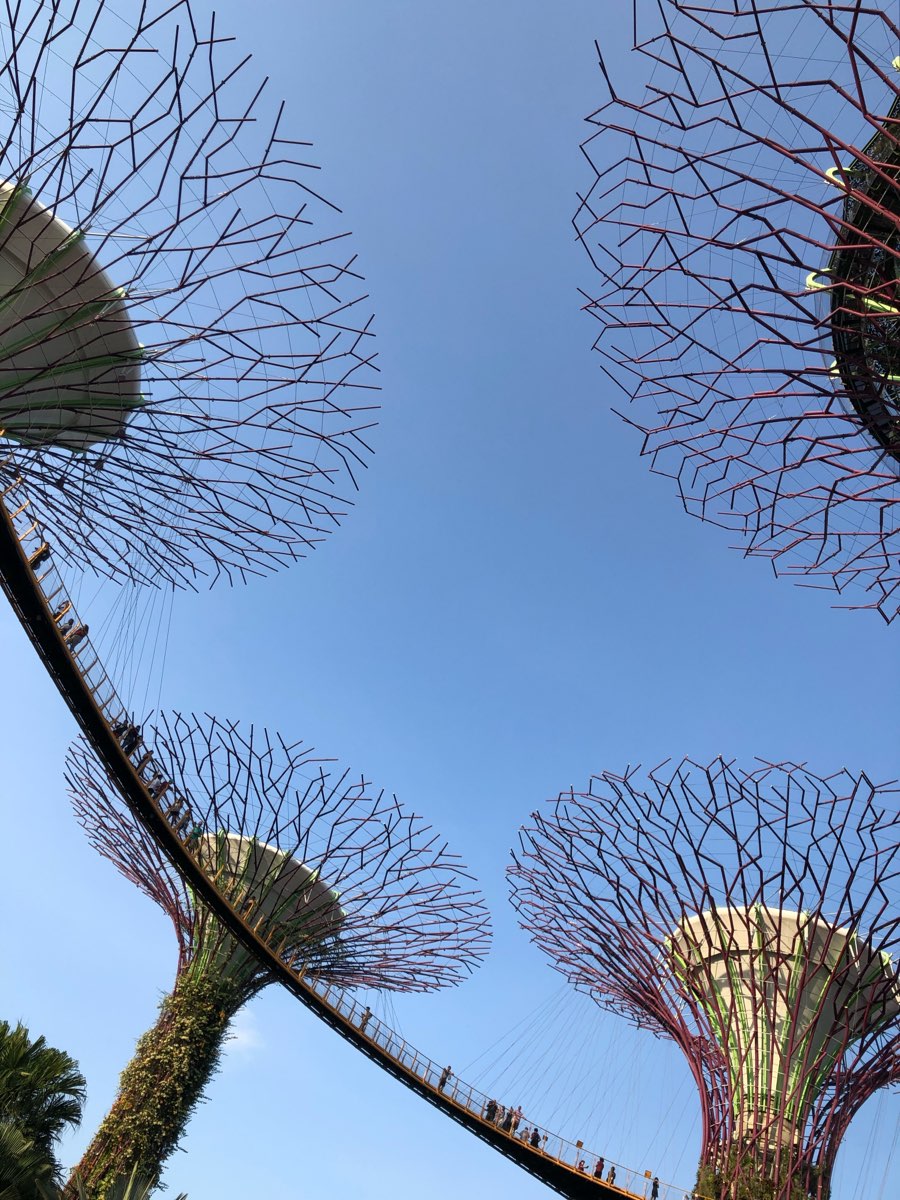 濱海灣花園 | 去趣 chicTrip