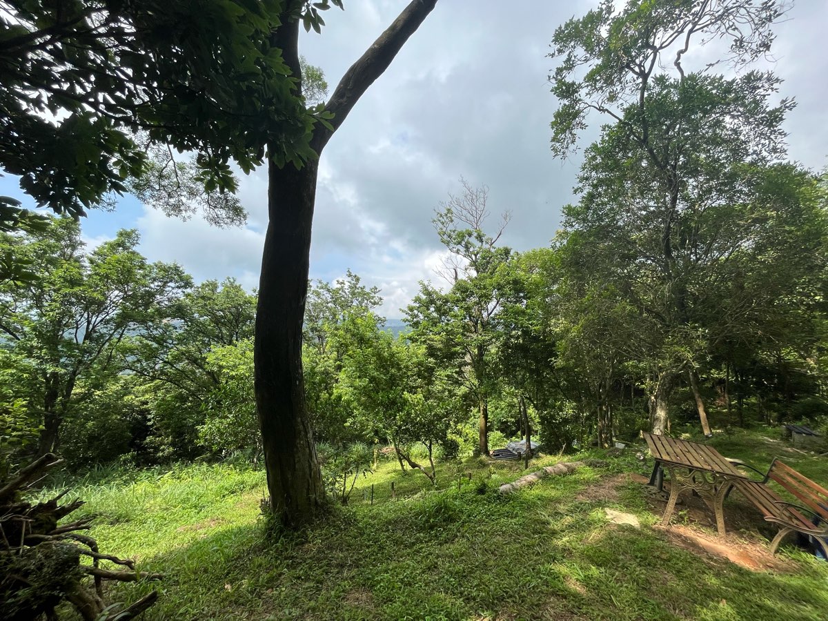 陽明山國家公園 | 去趣 chicTrip