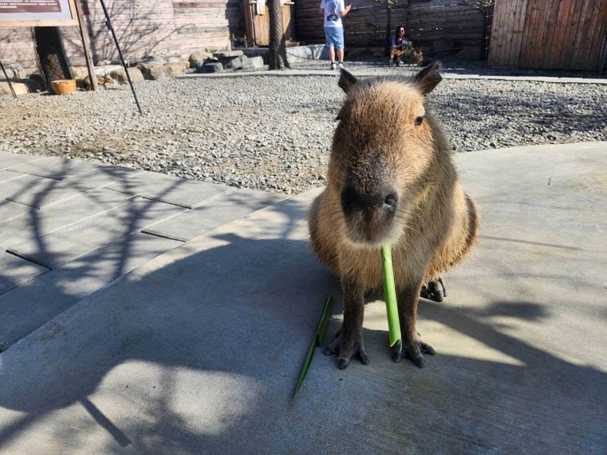蘭陽動植物王國 | 去趣 chicTrip