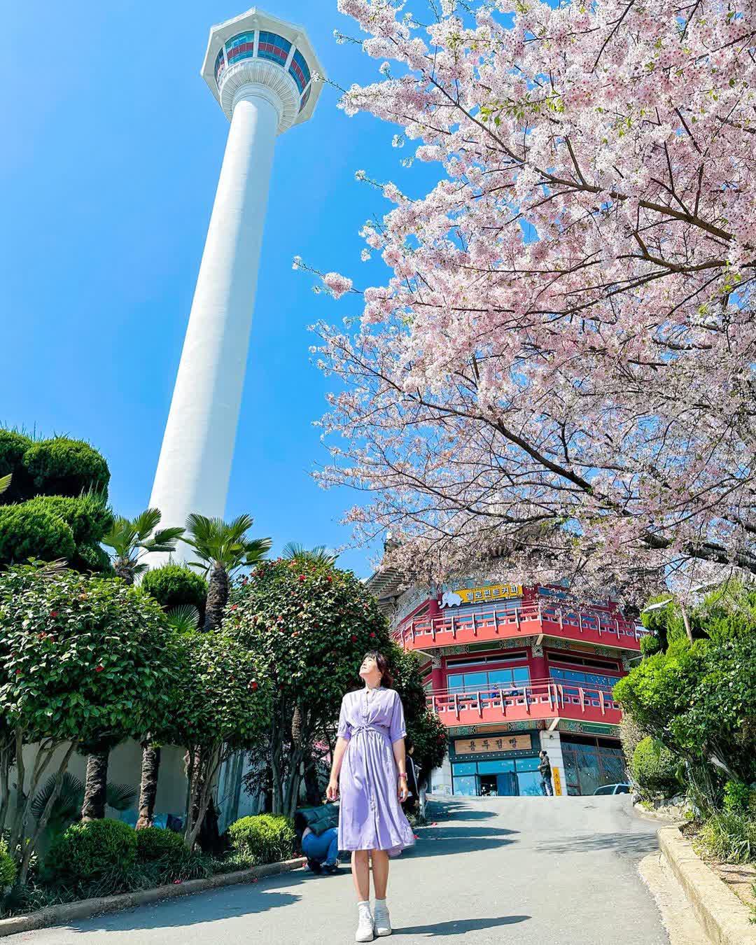 龍頭山公園 | 去趣 chicTrip