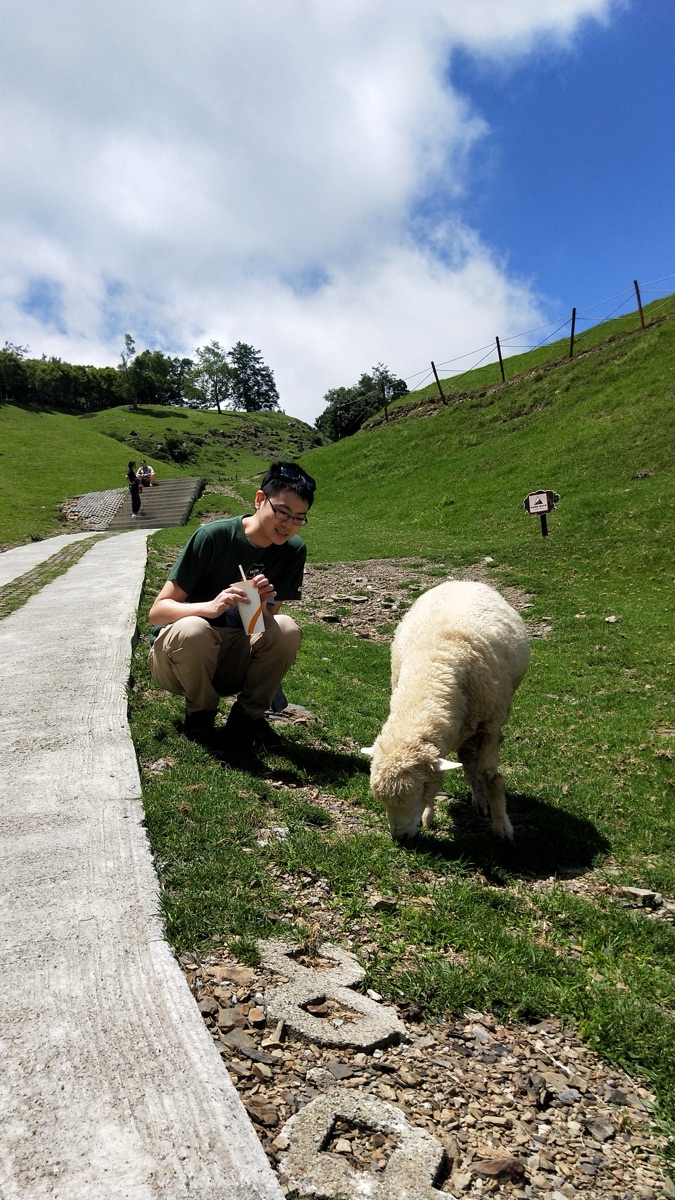 清境農場青青草原 | 去趣 chicTrip