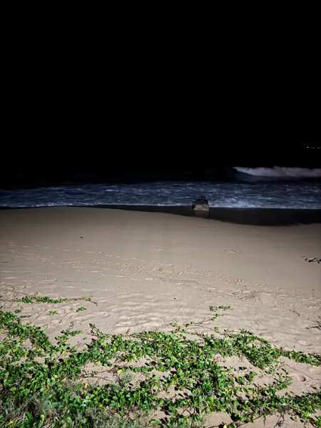 山水沙灘 | 去趣 chicTrip