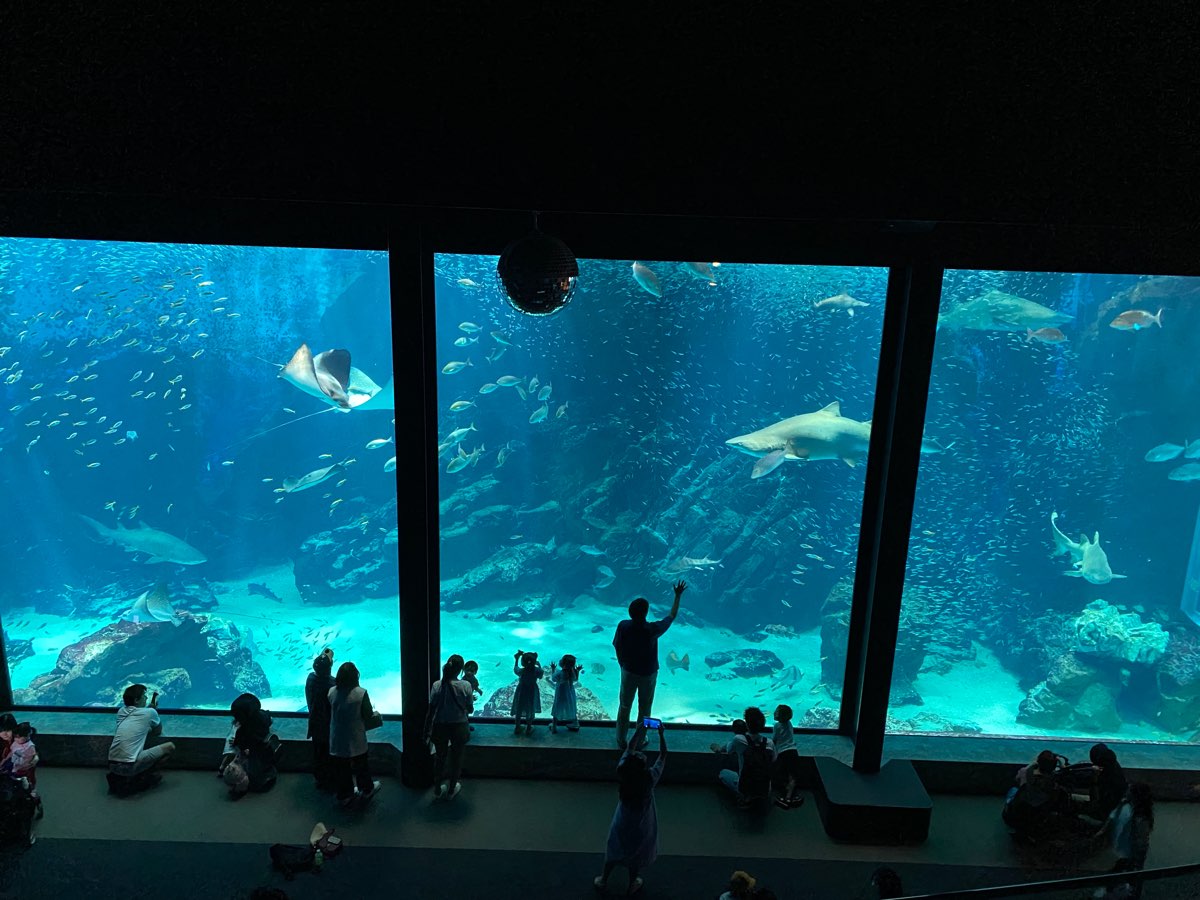 海洋世界海之中道 | 去趣 chicTrip