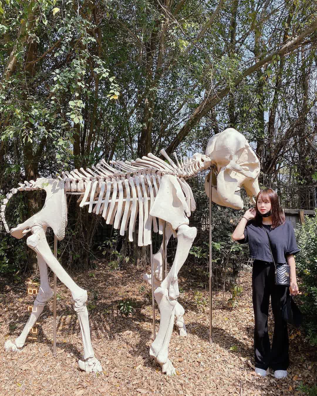 樹谷農場 | 去趣 chicTrip