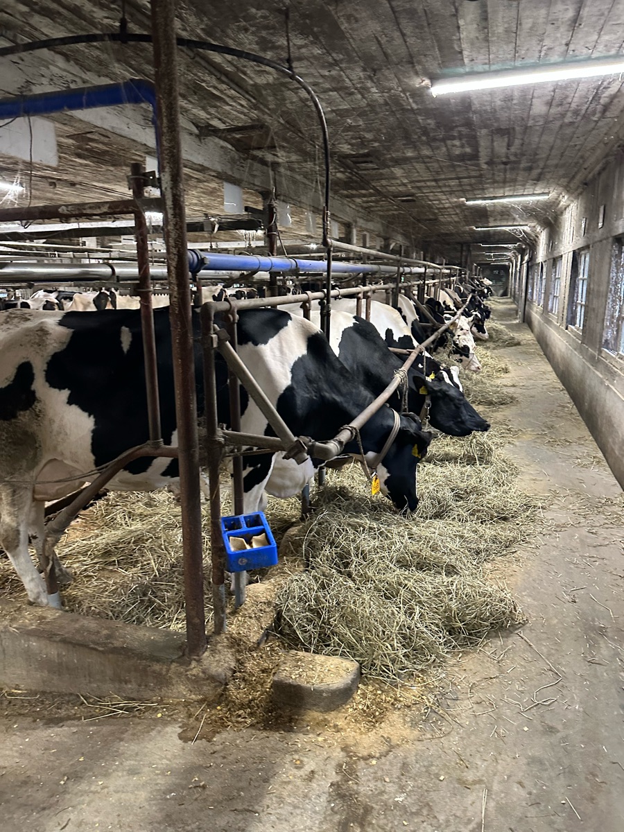 小岩井農場 | 去趣 chicTrip